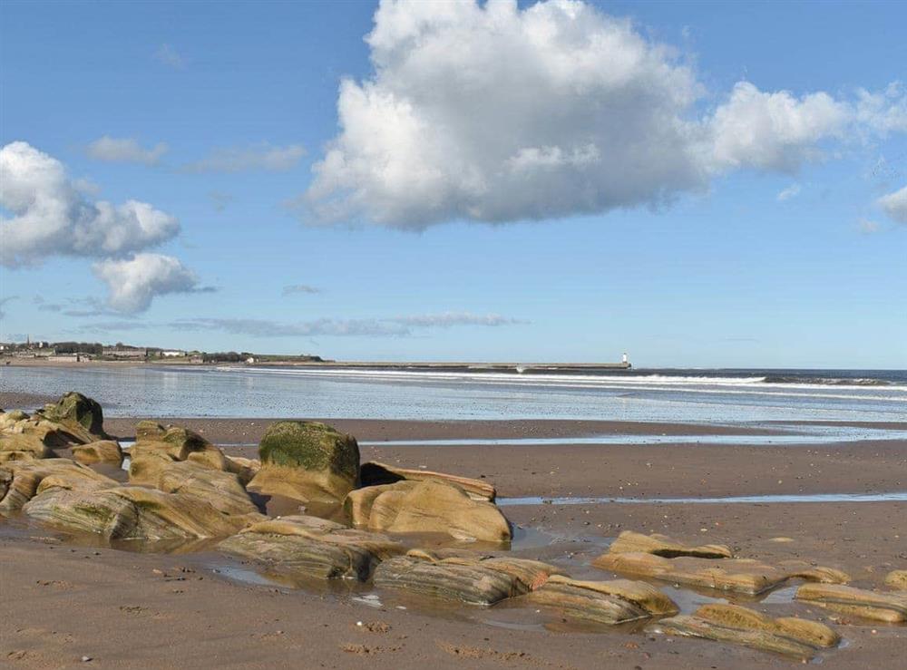 Lovely coastal surroundings at Sandstell Point in Spittal, Berwick-upon-Tweed, Northumberland