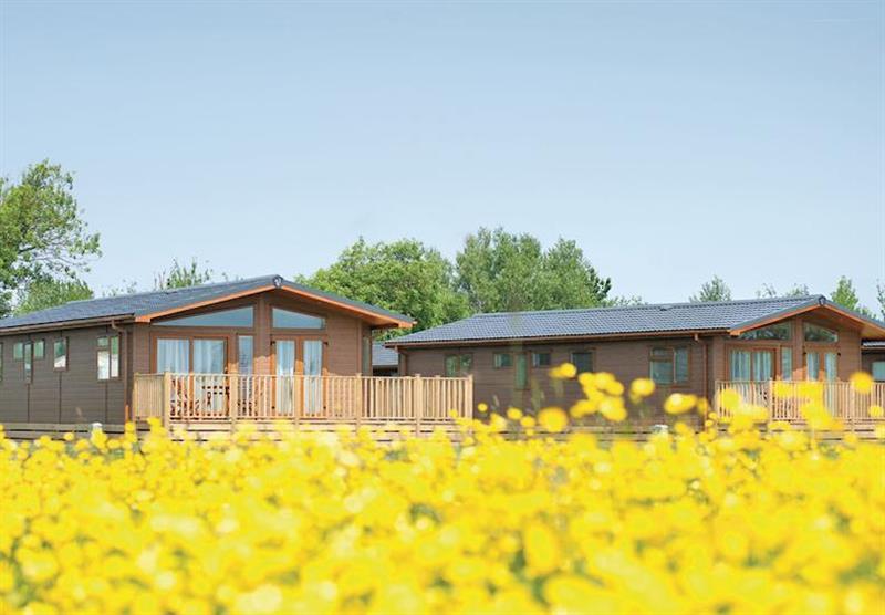 The lodge setting at Sandy Glade Holiday Park in Burnham-on-Sea, Somerset
