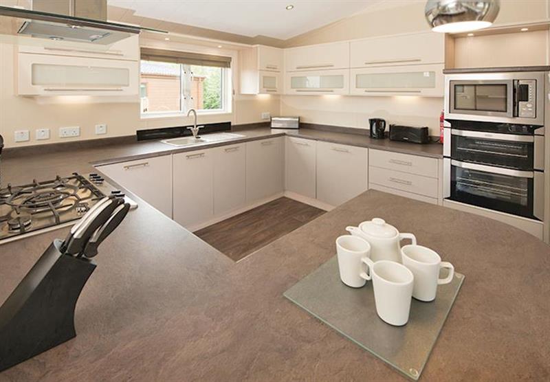 Kitchen in the 2 Bed Platinum Lodge at Sandy Meadows in Burnham-on-Sea, Somerset