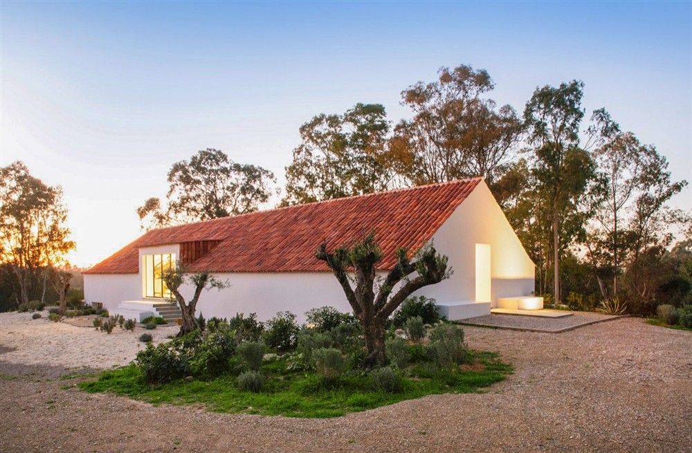 Sandy Seahorse Villa