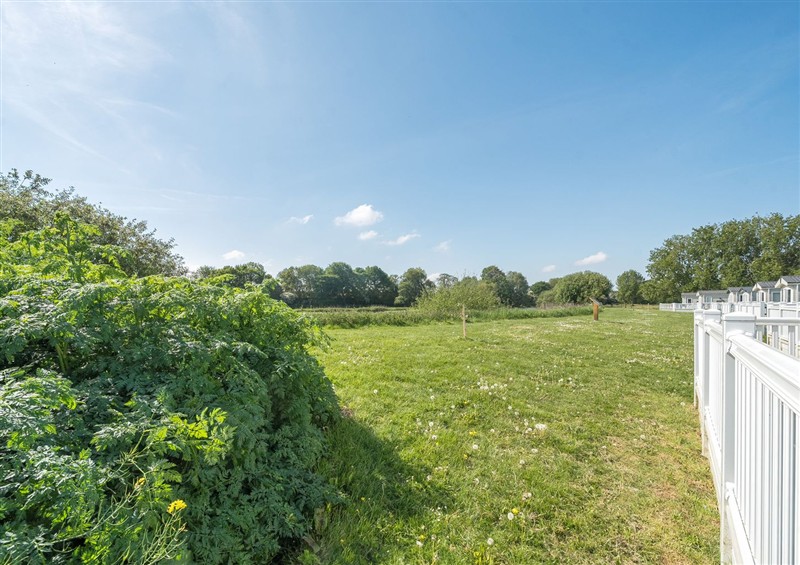 This is the garden at Sandy Shores - Hayling Island, Hayling Island Holiday Park