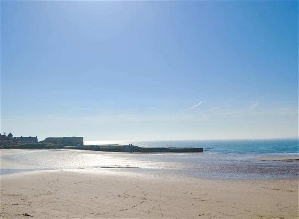 Scenic surrounding coastline at Sandy Toes in Beadnell, near Alnwick, Northumberland