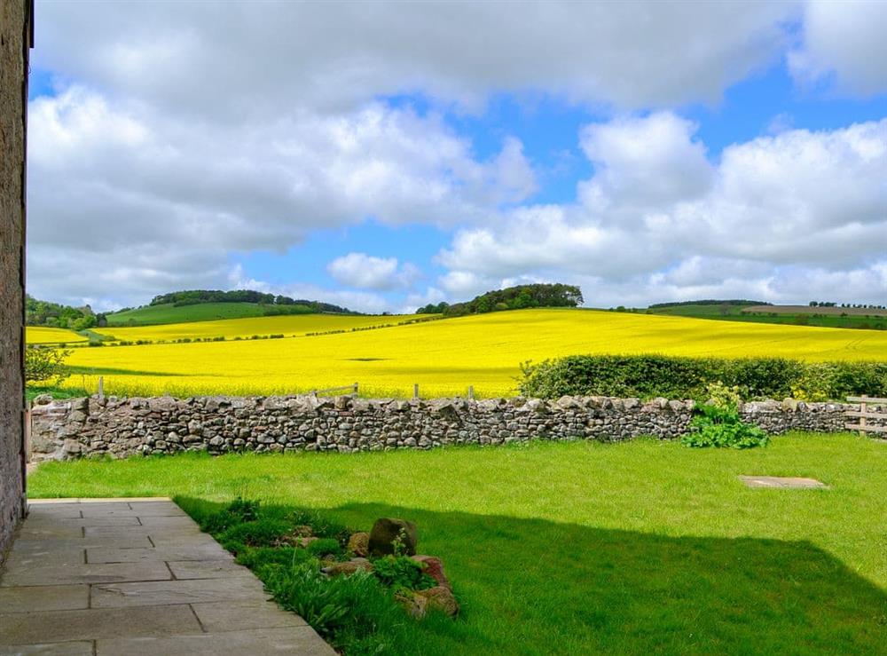 Beautiful countryside views from the garden at Sandyhouse Cottage in Milfield, near Wooler, Northumberland