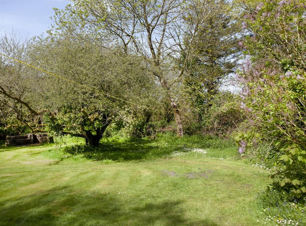 Garden at Sarahs Cottage in Camelford, Cornwall