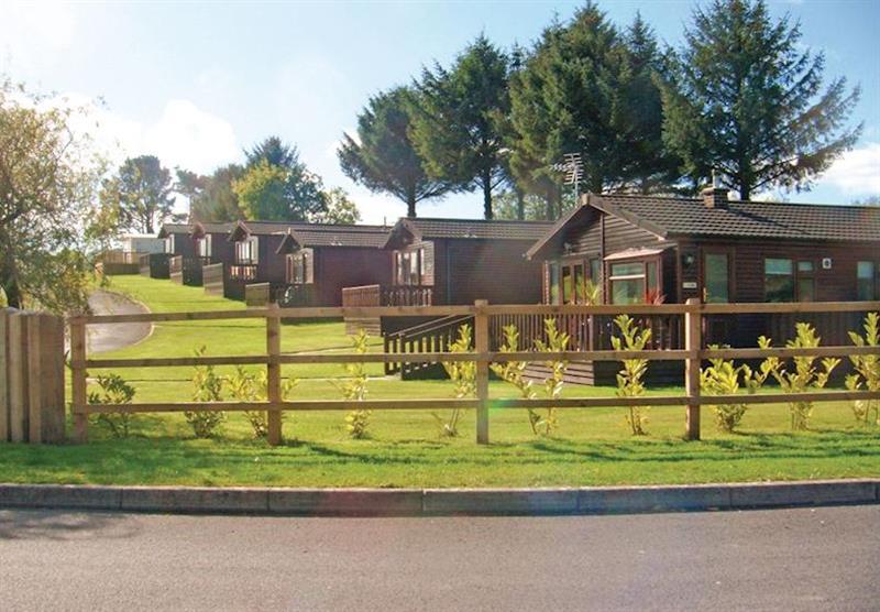 The park setting at Saundersfoot Pine Lodges in Moreton, Saundersfoot