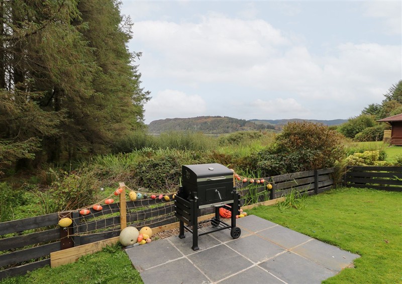 This is the garden at Scarba, Balvicar