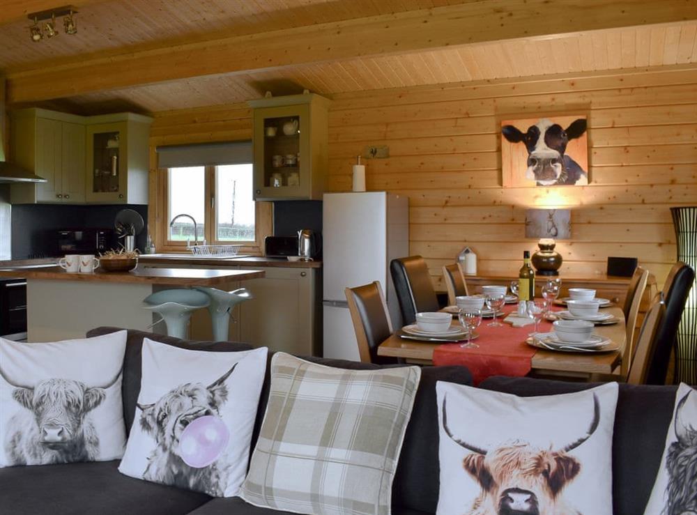 Open plan living space at Scarlett Lodge in Dolwen, near Abergele, Clwyd