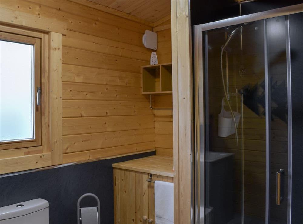 Shower room at Scarlett Lodge in Dolwen, near Abergele, Clwyd