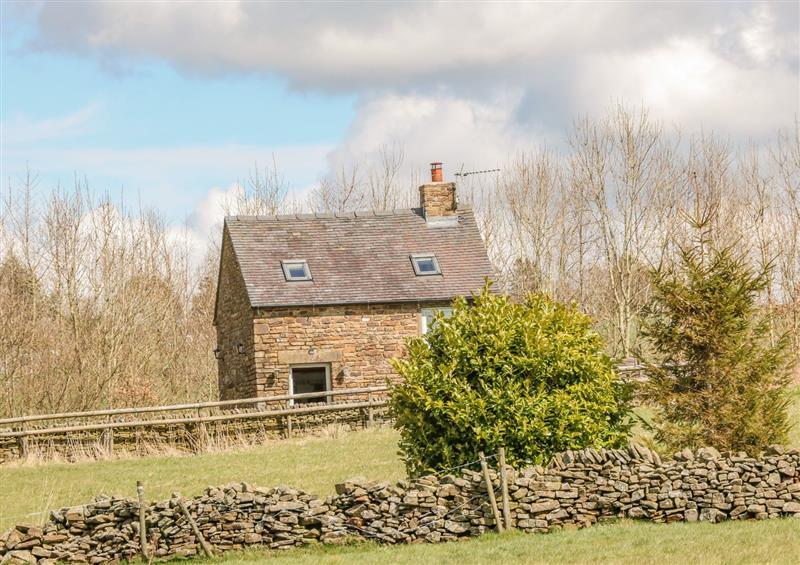 Rural landscape