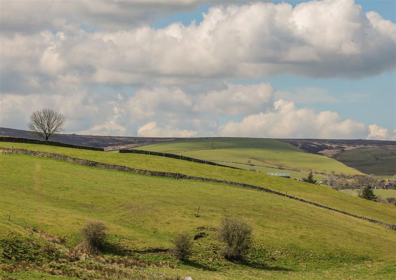 The area around School House Cottage