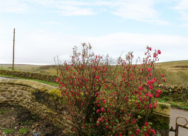 The area around School House