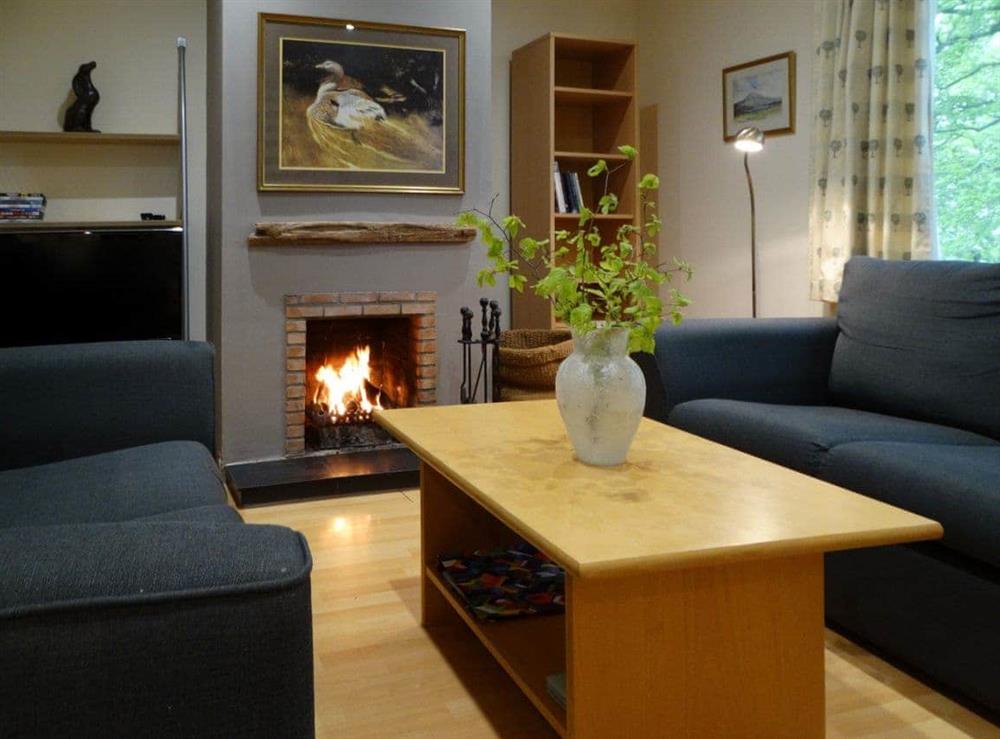 Living room at Scobach Lodge in Turriff, Aberdeenshire
