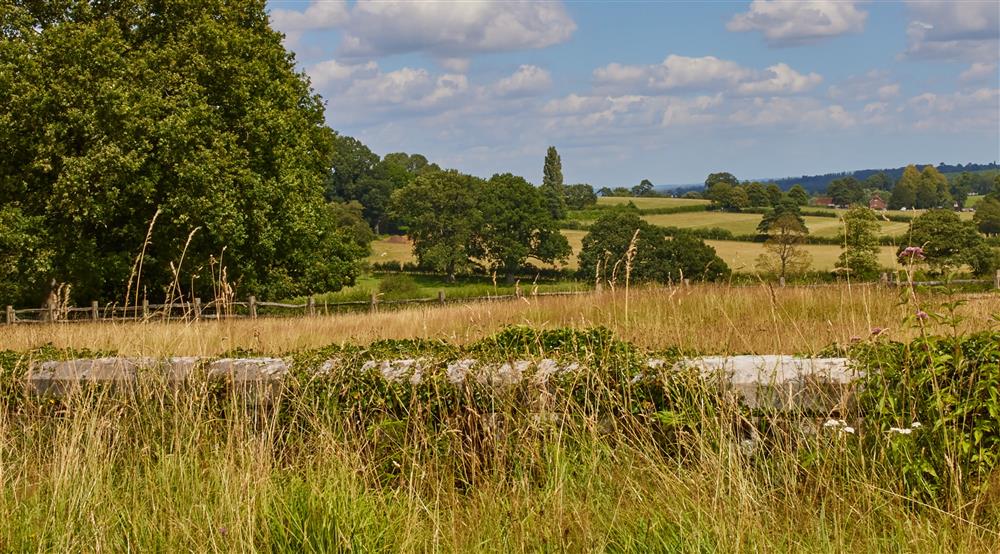 View over the Scotney Castle Estate near Scotney West Lodge, Kent