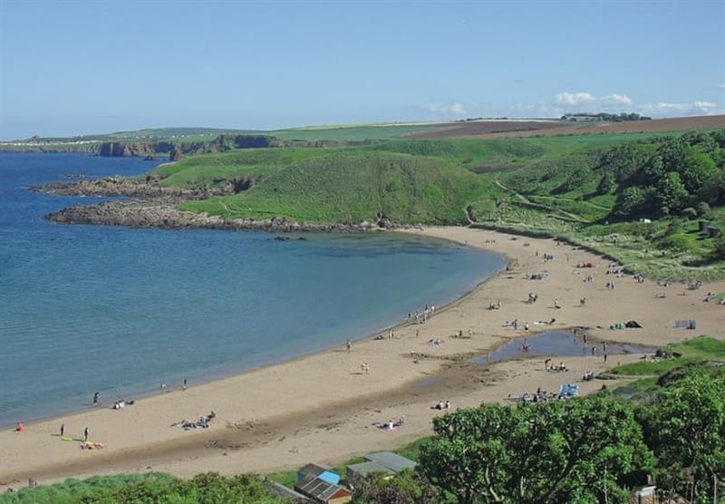Coldingham Bay at Scoutscroft Leisure Park in Coldingham, Nr Eyemouth