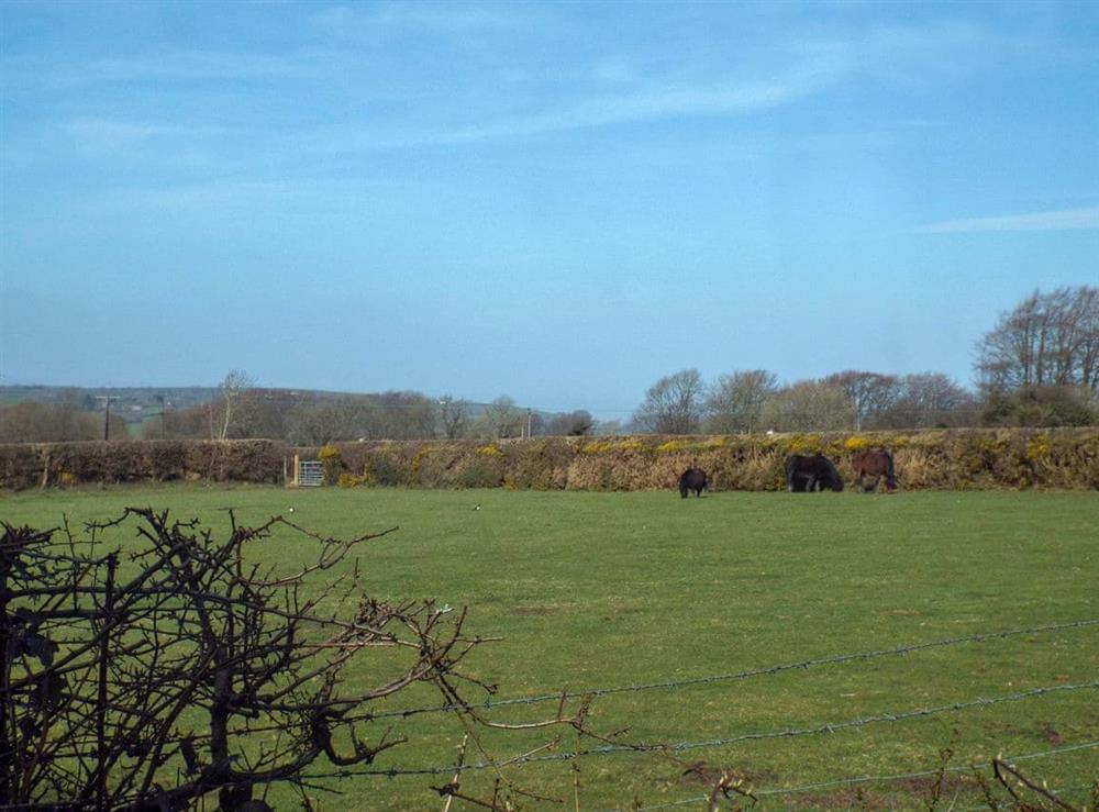 Surrounding area at Scrumpy Barn in Dihewyd, near Aberaeron, Dyfed