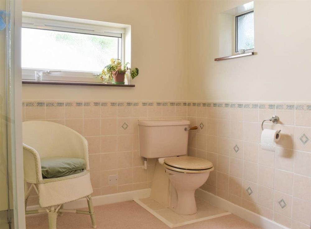 Shower room (photo 2) at Sea Cottage in Down Thomas, Devon