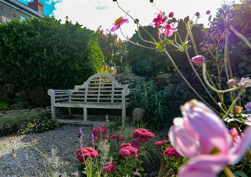 Enjoy the garden at Sea Holly, St Just