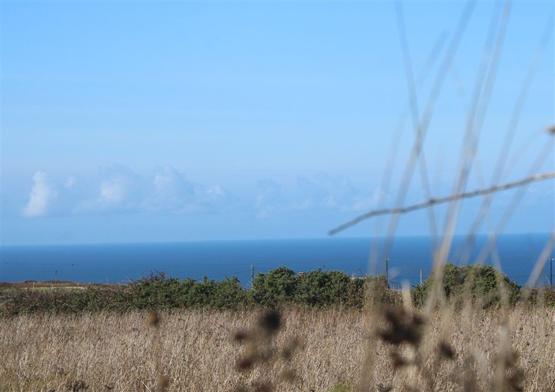 Outside (photo 3) at Sea Holly, St Just