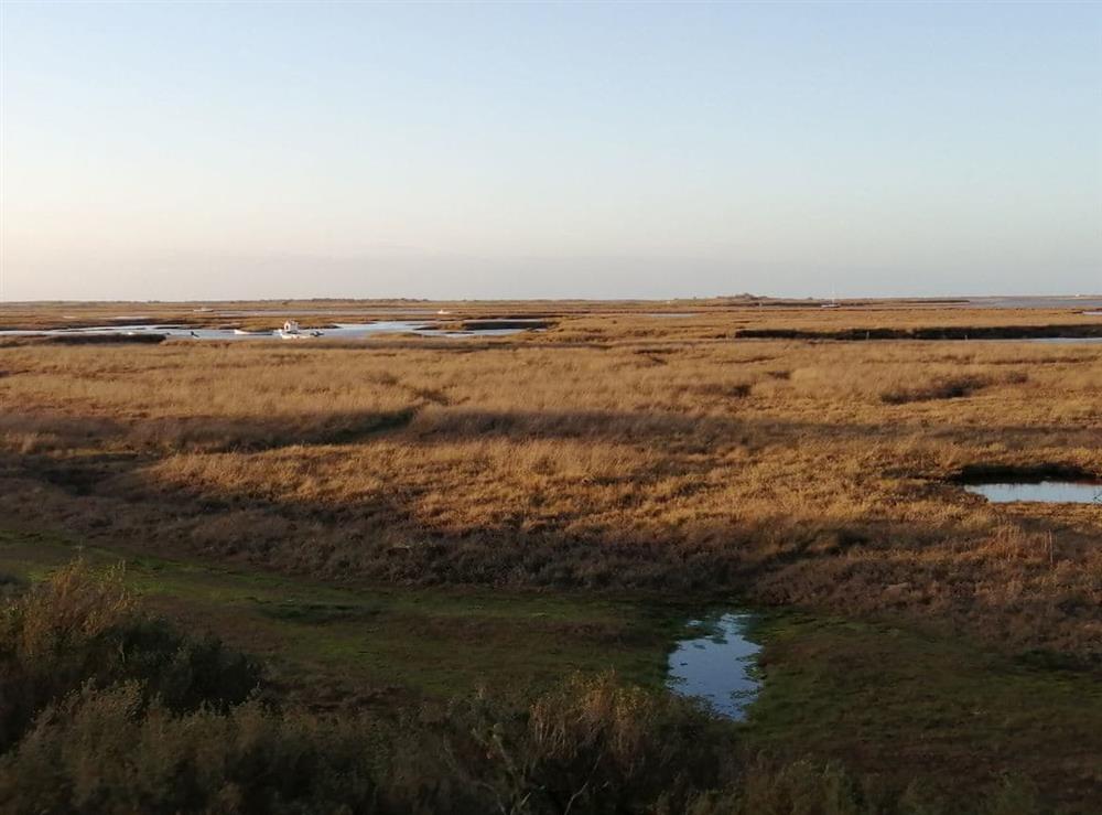 The desolate beauty of the coastal salt marshes