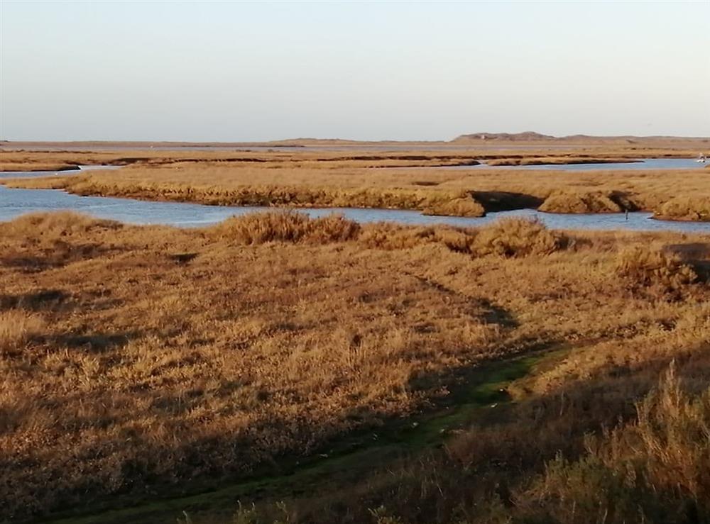The desolate beauty of the coastal salt marshes (photo 3) at Vista Cottage, 