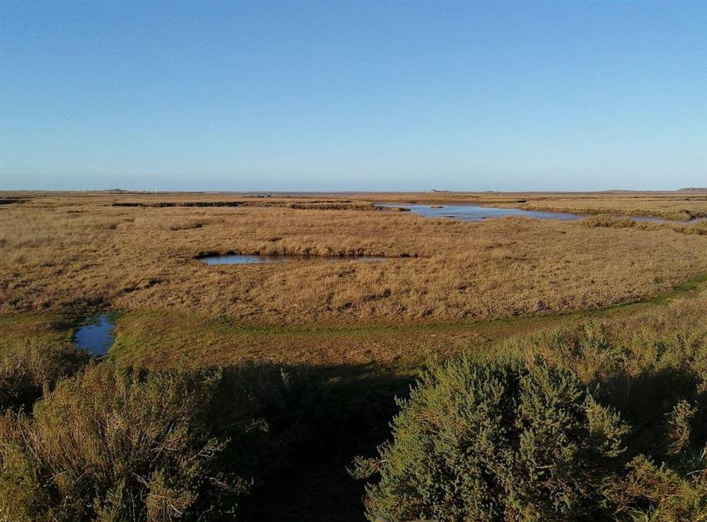 The desolate beauty of the coastal salt marshes at Vista Cottage, 