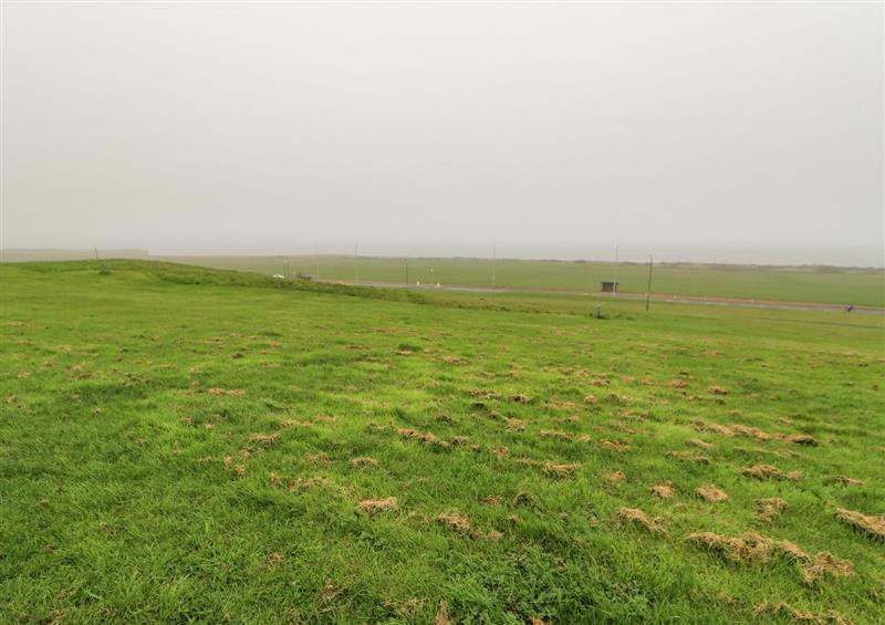 Rural landscape at Sea View Cottage, South Shields
