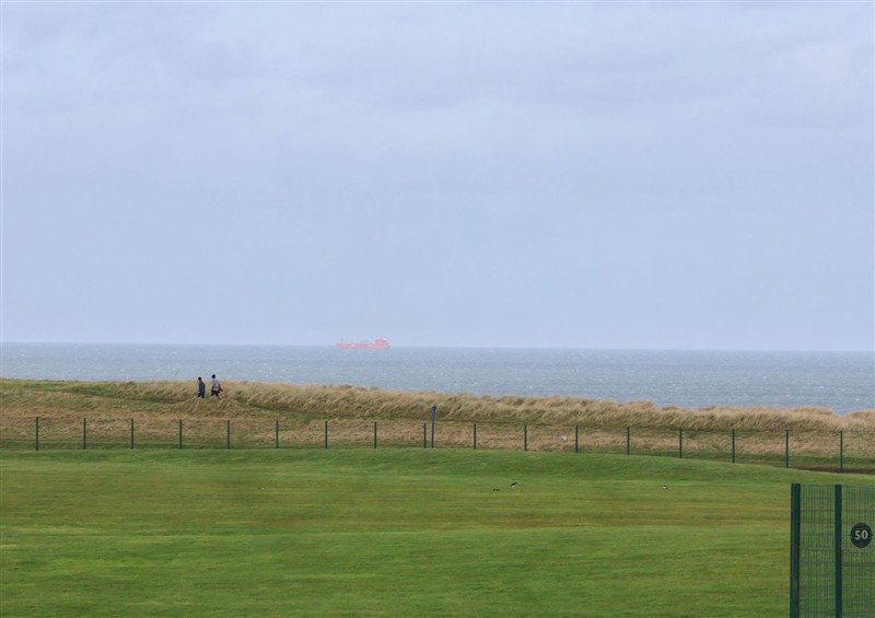 Outside at Sea View House, Marske-By-The-Sea