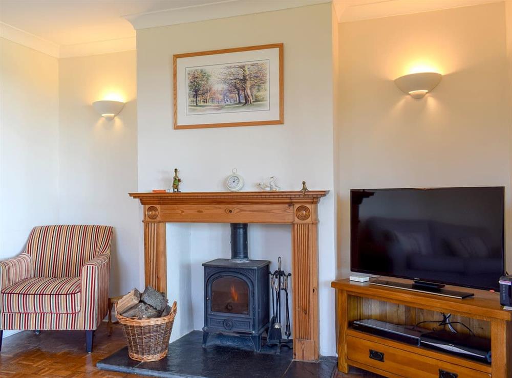 Cosy living room with wood burner at Sea View Lodge in Rousdon, near Lyme Regis, Devon