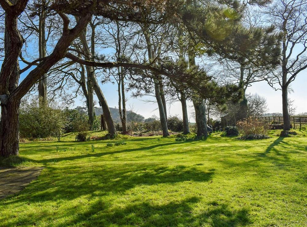 Large garden at Sea View Lodge in Rousdon, near Lyme Regis, Devon