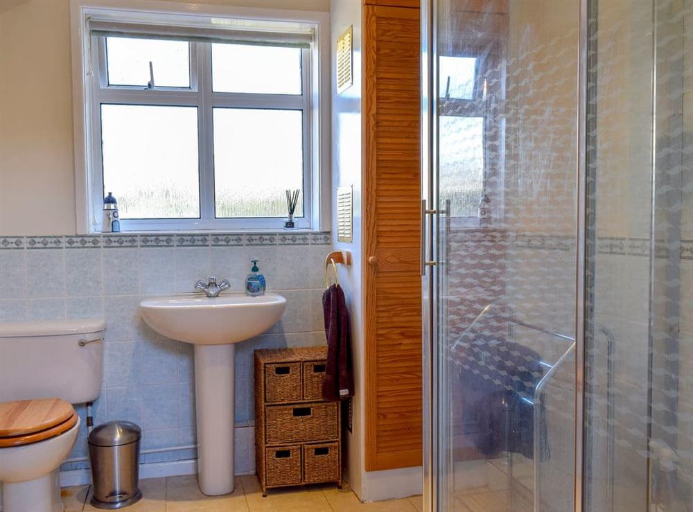 Shower room at Sea View Lodge in Rousdon, near Lyme Regis, Devon