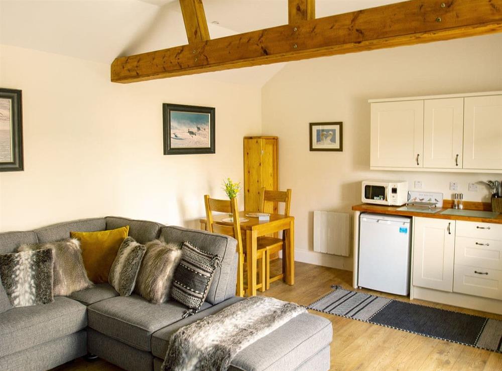 Delightful open plan living space at Gannet Lodge, 