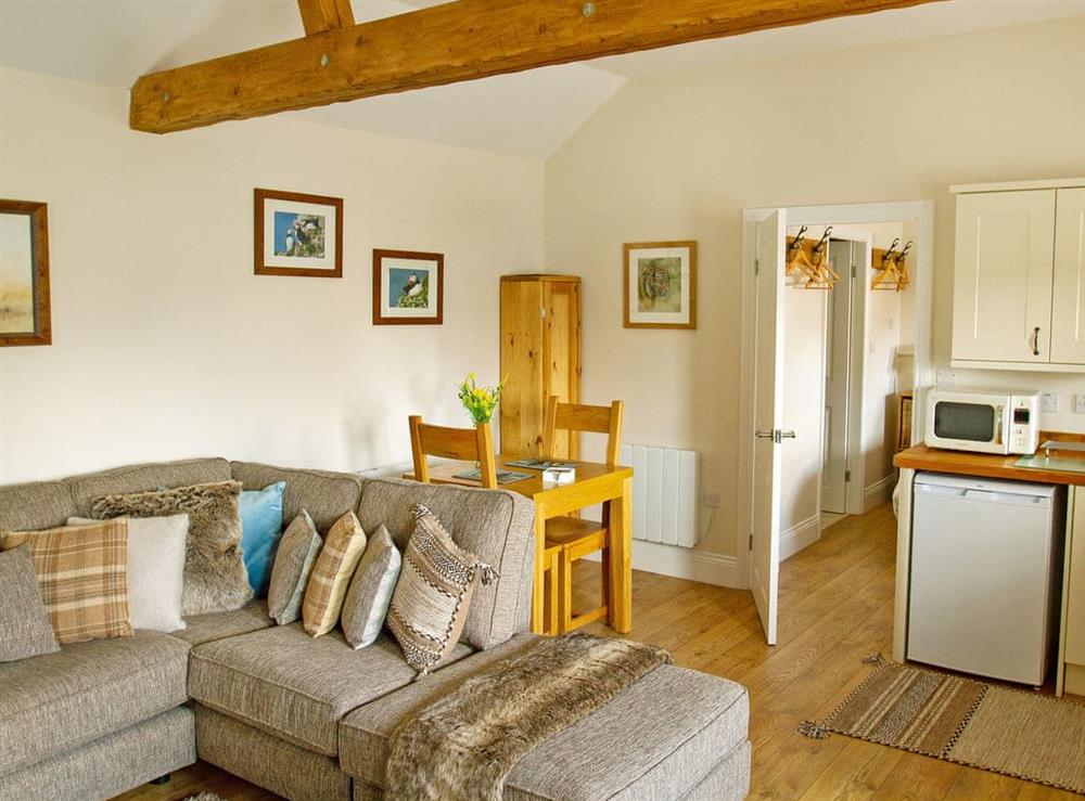 Welcoming open plan living space at Puffin Lodge, 