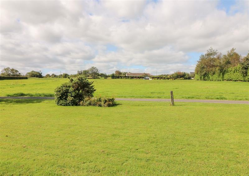 Rural landscape at SeaChange Annexe, Donaghmore near Ballygarrett