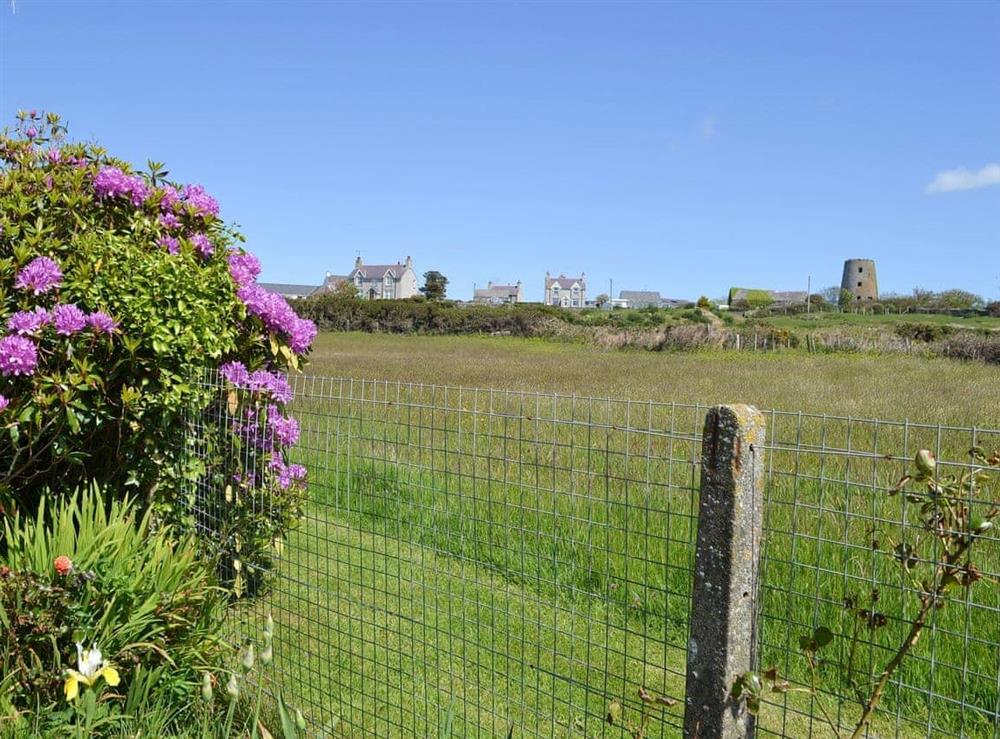 Seafield Paddock, where children or dogs can play at Seafield in Church Bay, Anglesey, N. Wales., Gwynedd