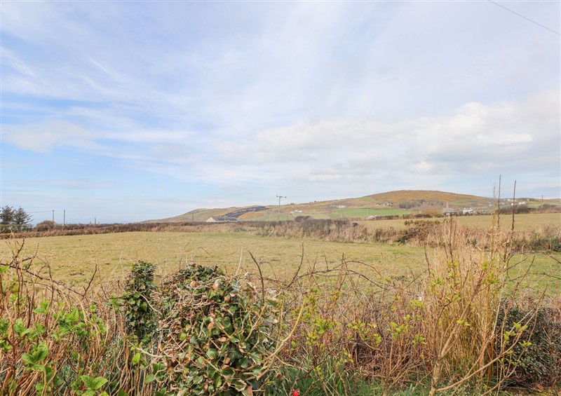 Enjoy the garden at Seafield, Rhydwyn near Cemaes Bay