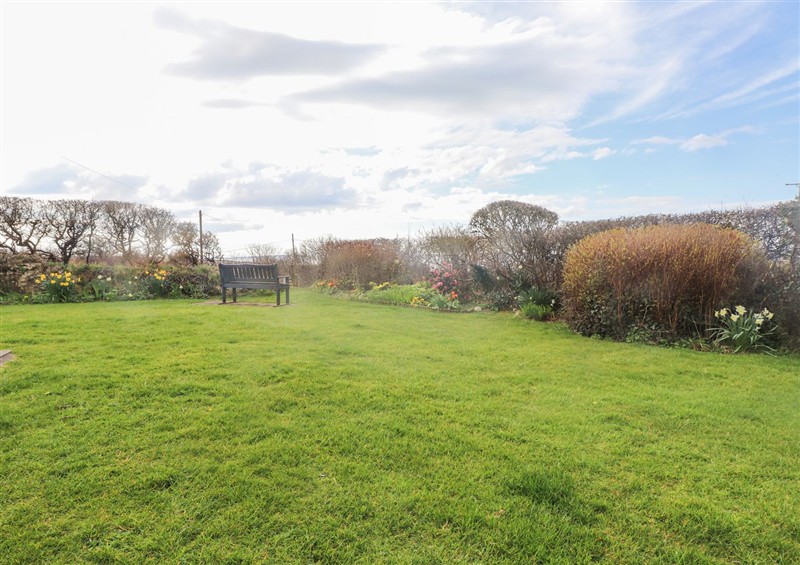 The garden in Seafield (photo 2) at Seafield, Rhydwyn near Cemaes Bay