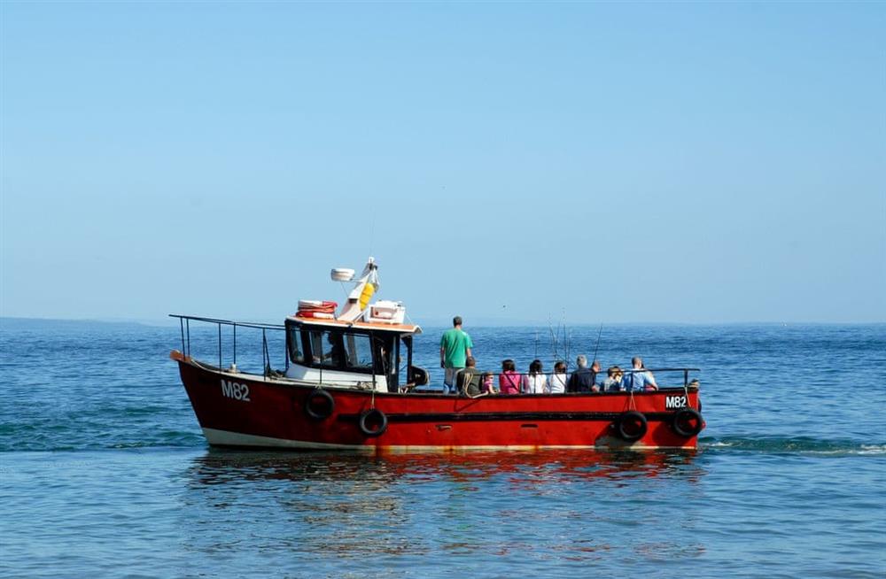 Photo of Seafields (photo 6) at Seafields in New Quay, near Cardigan, Dyfed