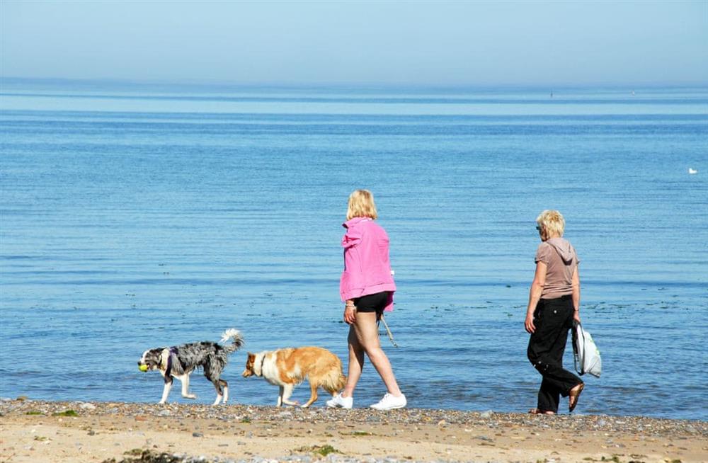 Photo of Seafields (photo 8) at Seafields in New Quay, near Cardigan, Dyfed