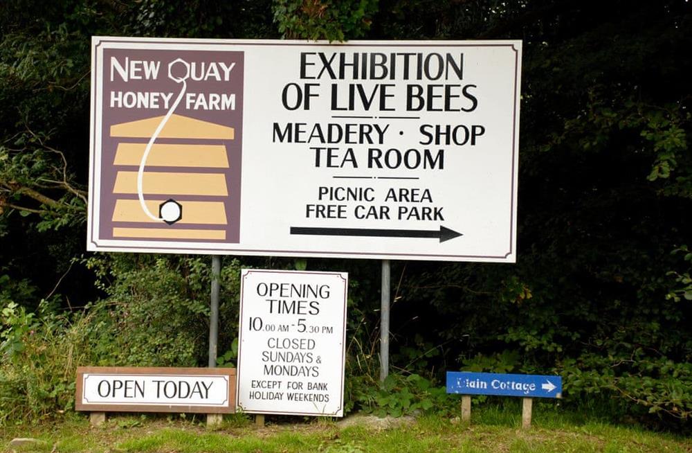 Rural landscape (photo 4) at Seafields in New Quay, near Cardigan, Dyfed