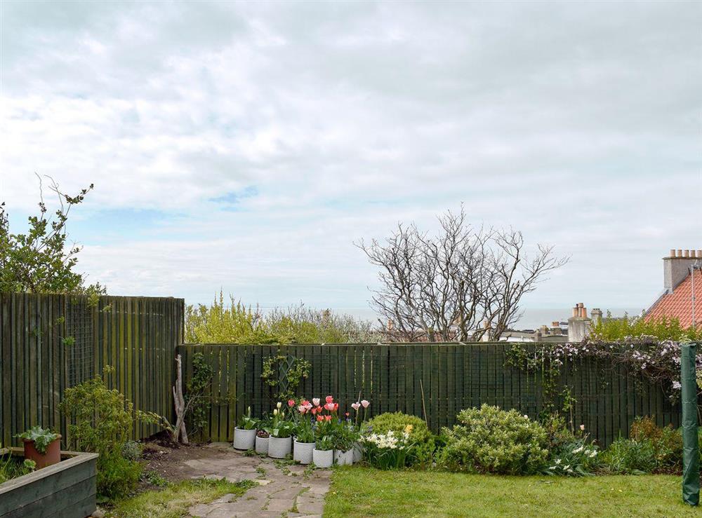 Charming garden at Seaforth View in St Monans, near Anstruther, Fife