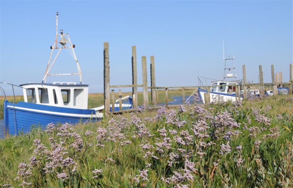 Thornham sea lavender at Seagrass, Thornham near Hunstanton