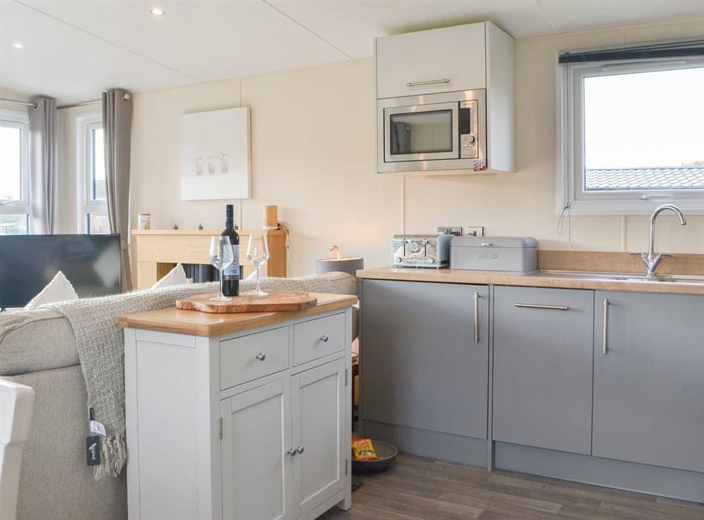 Kitchen area at Seagulls Lodge in Sewerby, nr Bridlington, North Humberside