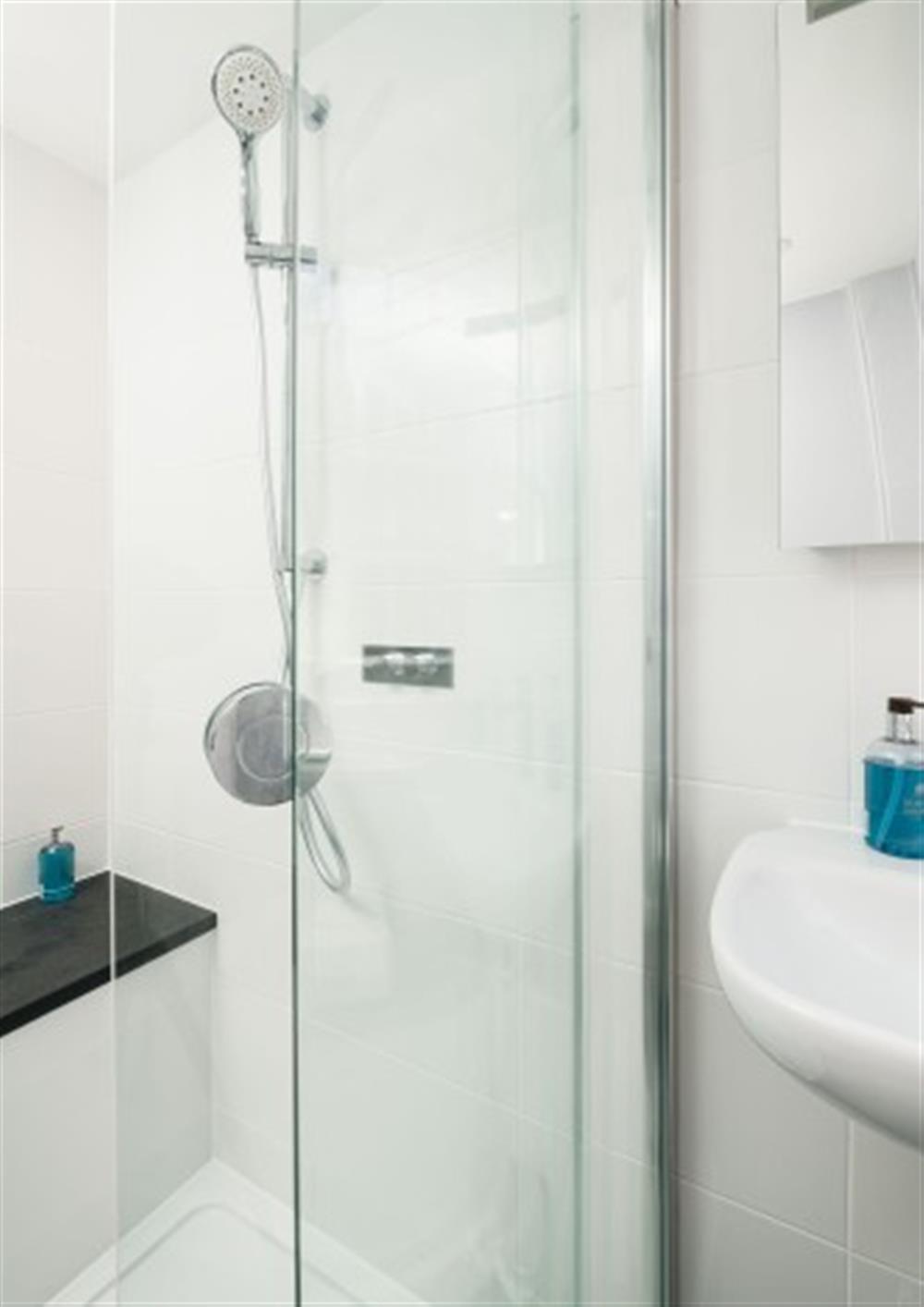 Another look at the shower room  at Seahorse Cottage (30 Fore Street) in Salcombe