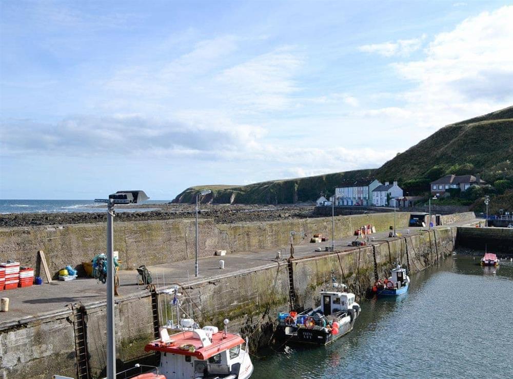 Burnmouth Harbour