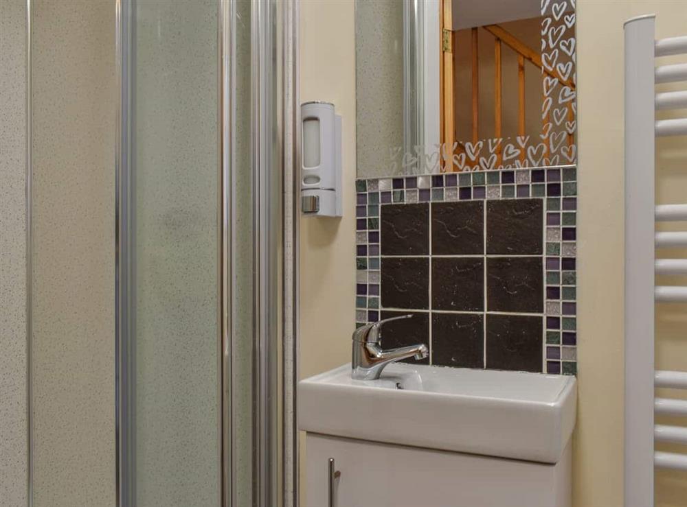 Ground floor shower room at Seanicview Lodge in Callington and the Tamar Valley, Cornwall