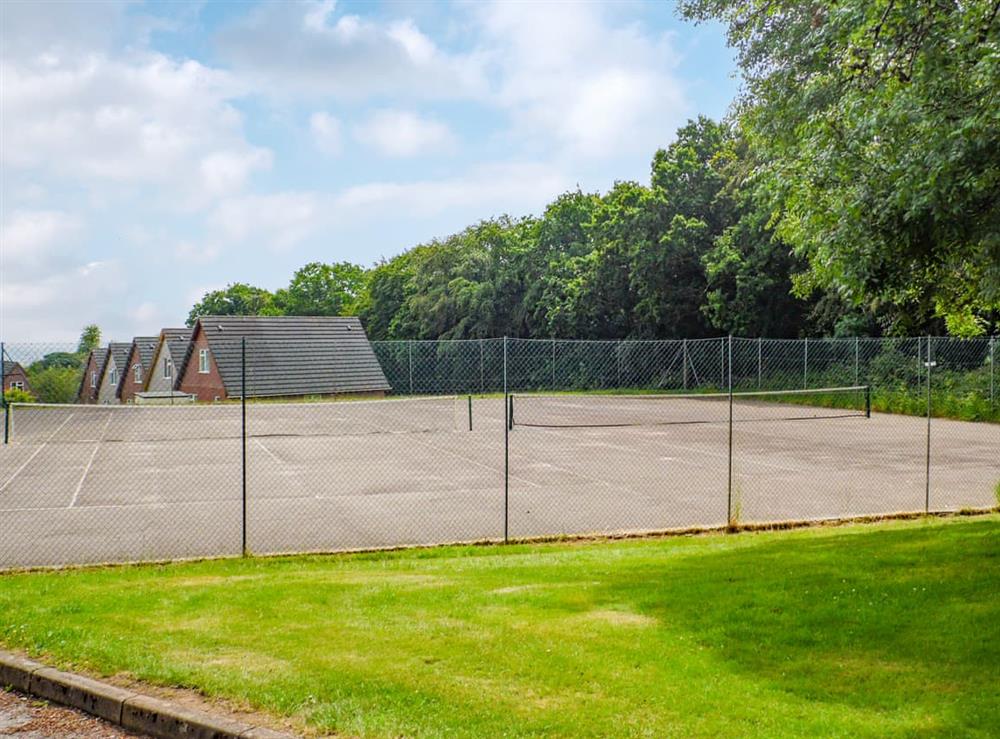 Tennis court at Seanicview Lodge in Callington and the Tamar Valley, Cornwall