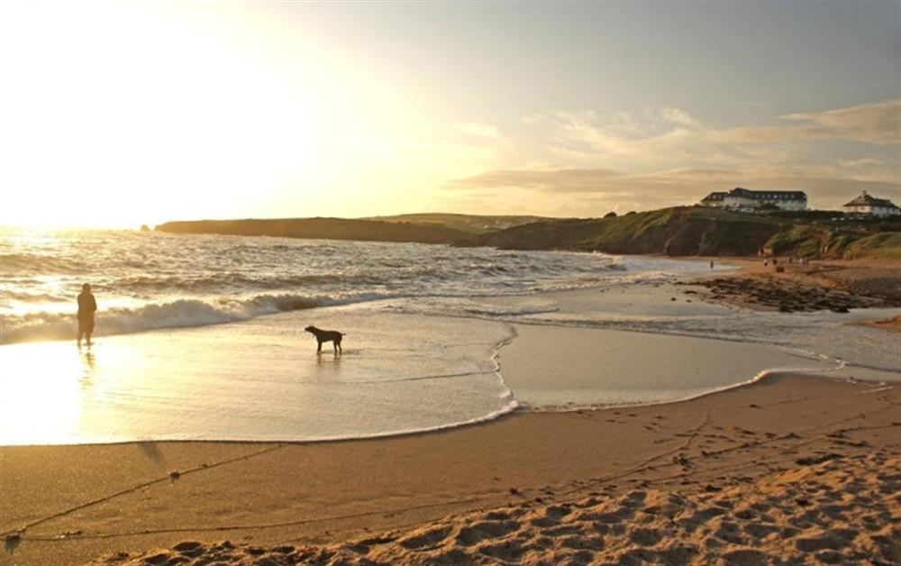 Thurlestone beach, dog friendly all year round at Seascape in Thurlestone
