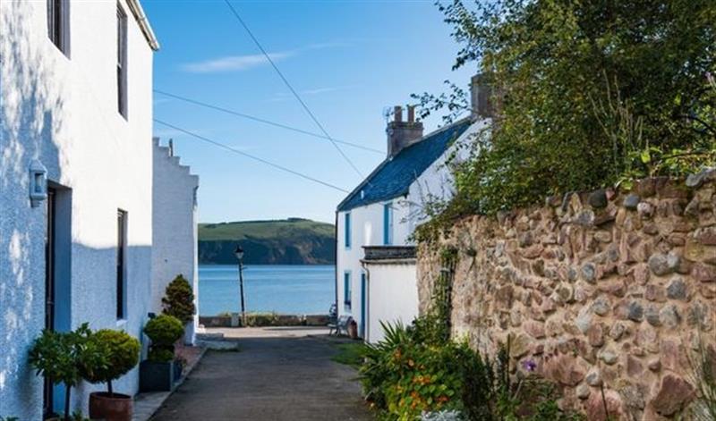Outside at Seashell Cottage, Cromarty