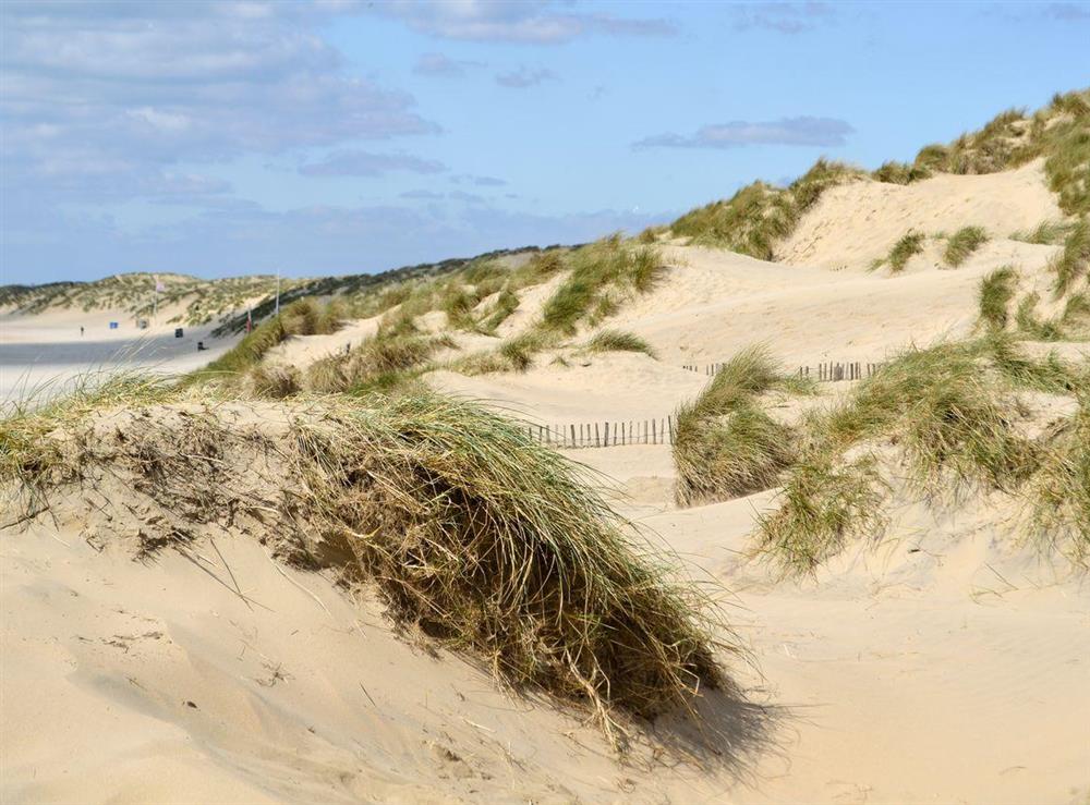 Sand dunes at the head of the beach at Seaspray in Camber Sands, Rye, East Sussex