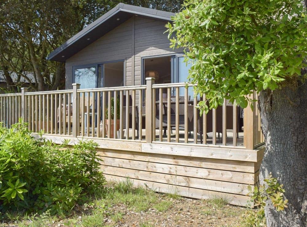 Wonderful woodland holiday cottage with amazing sea views at SeaTrees in Corton, near Lowestoft, Suffolk